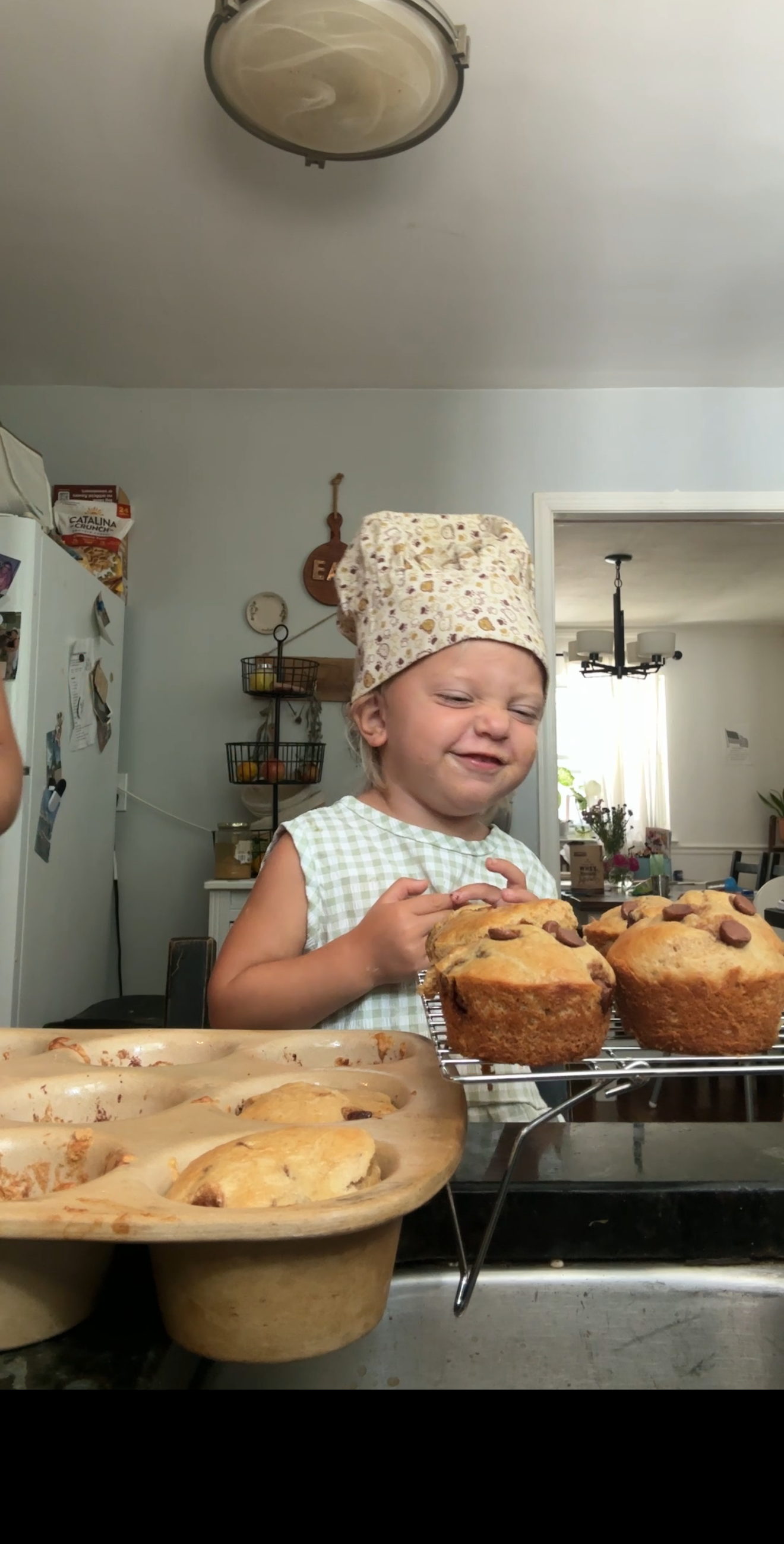 Nourishing Protein Muffins